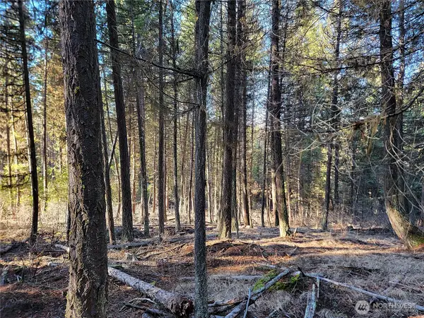 9999 Lundimo Meadows Road, Curlew, WA 99118