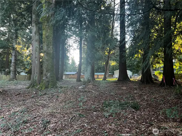 0 Forest View Drive #10, 11, 12, Bellingham, WA 98229