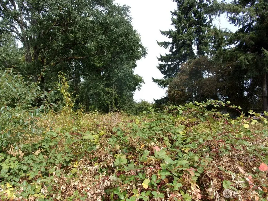 7727 146th Street Sw, Lakewood, WA 98439 - #3