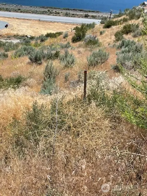 37 Osprey Nest Road #1, Pateros, WA 98846