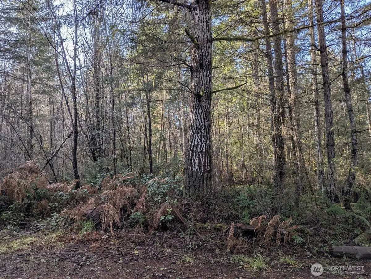 0 E Savage, Grapeview, WA 98546 - #1