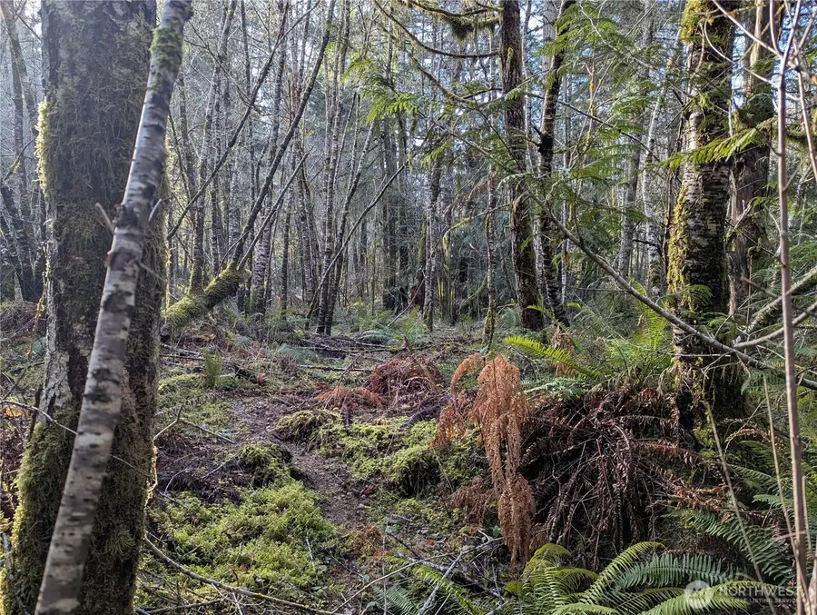 0 E Savage, Grapeview, WA 98546 - #3