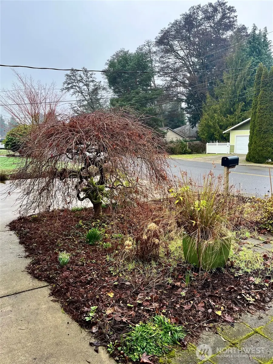 307 X Street, Tumwater, WA 98501 - #3