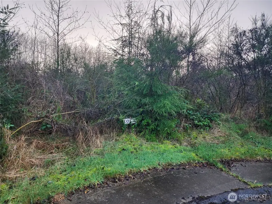 0 Murre Ct #20, Hoquiam, WA 98550 - #2