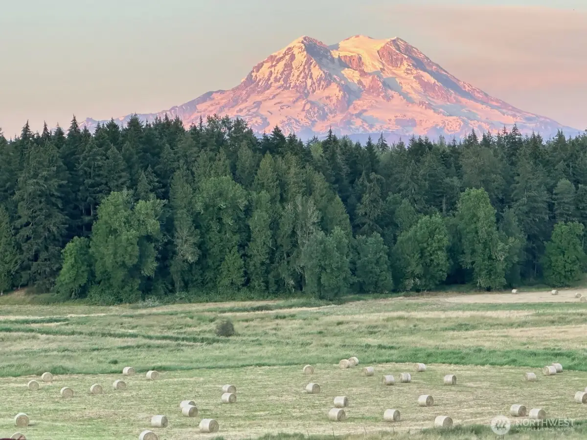 44302 32nd Ave E #42, Eatonville, WA 98328 - #1