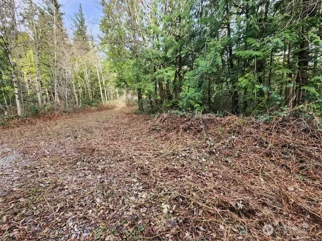 0 Vacant Land 343rd Avenue Se, Ravensdale, WA 98051 - #3