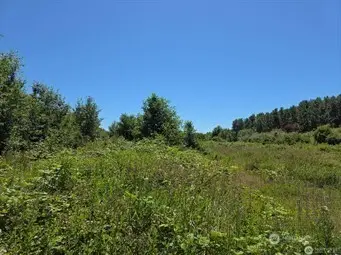 1361 Peltier Drive #154491, Point Roberts, WA 98281 - #3