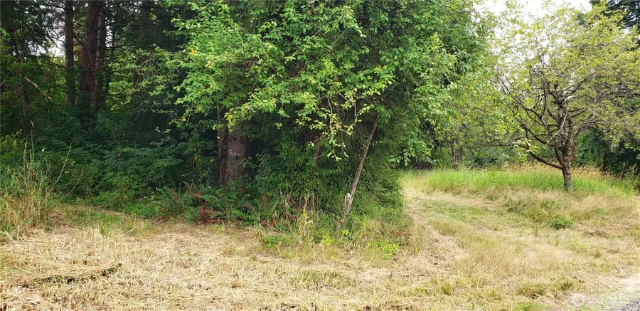 196 Jensen Road #2, Onalaska, WA 98570 - #2