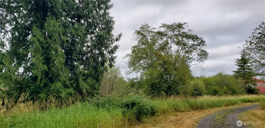 196 Jensen Road #2, Onalaska, WA 98570 - #3