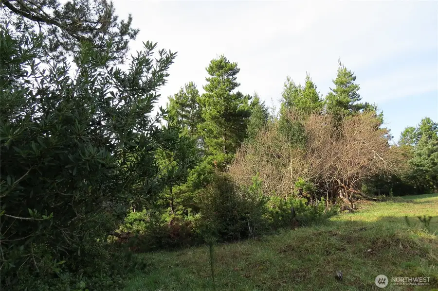 326 Wildwood Avenue Se #111, Ocean Shores, WA 98569 - #3