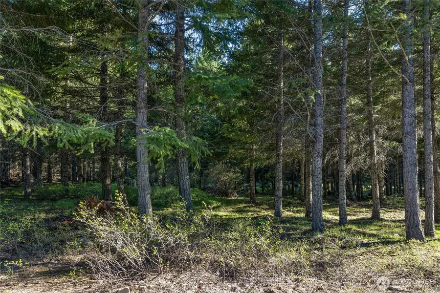 80 Gold Fountain Lane #4-2, Cle Elum, WA 98922 - #3