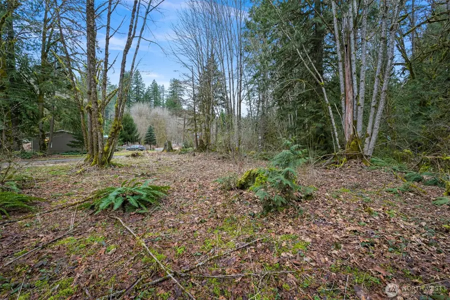 7738 Maple Drive #18, Maple Falls, WA 98266 - #2