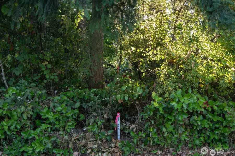 1111 1st Avenue Ne, Seattle, WA 98125 - #2