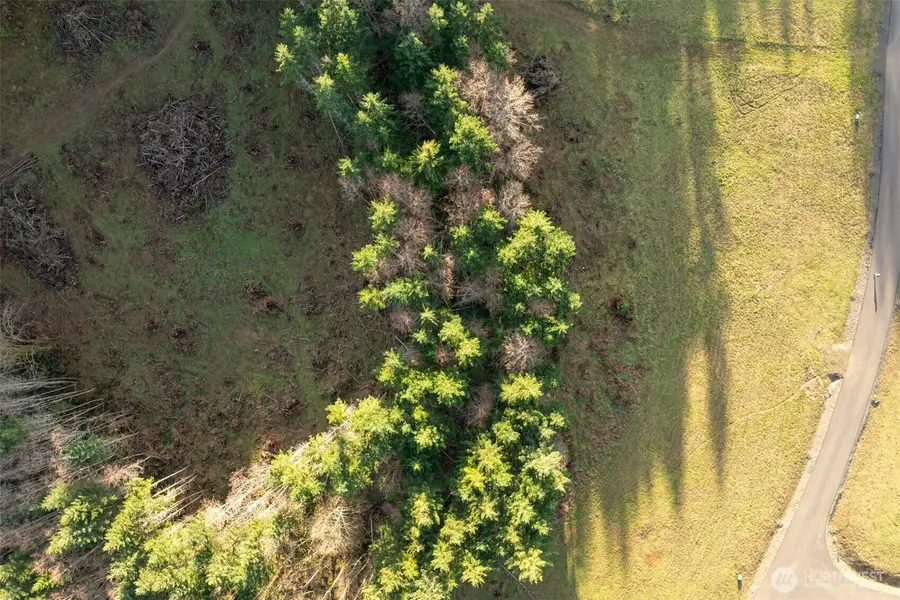 0 Silverwood Drive #E2, Castle Rock, WA 98611 - #2