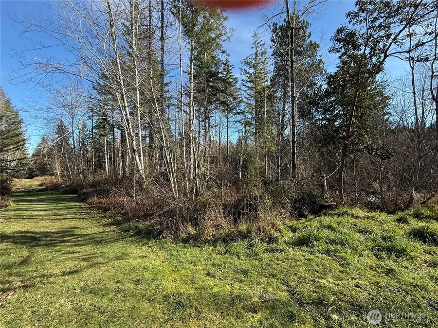 7 E Johnson Ridge Road, Belfair, WA 98528 - #2