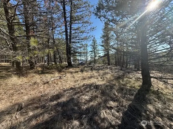 171 Garrett, Tonasket, WA 98855