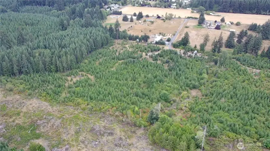 196 Allman Road, Winlock, WA 98596 - #3