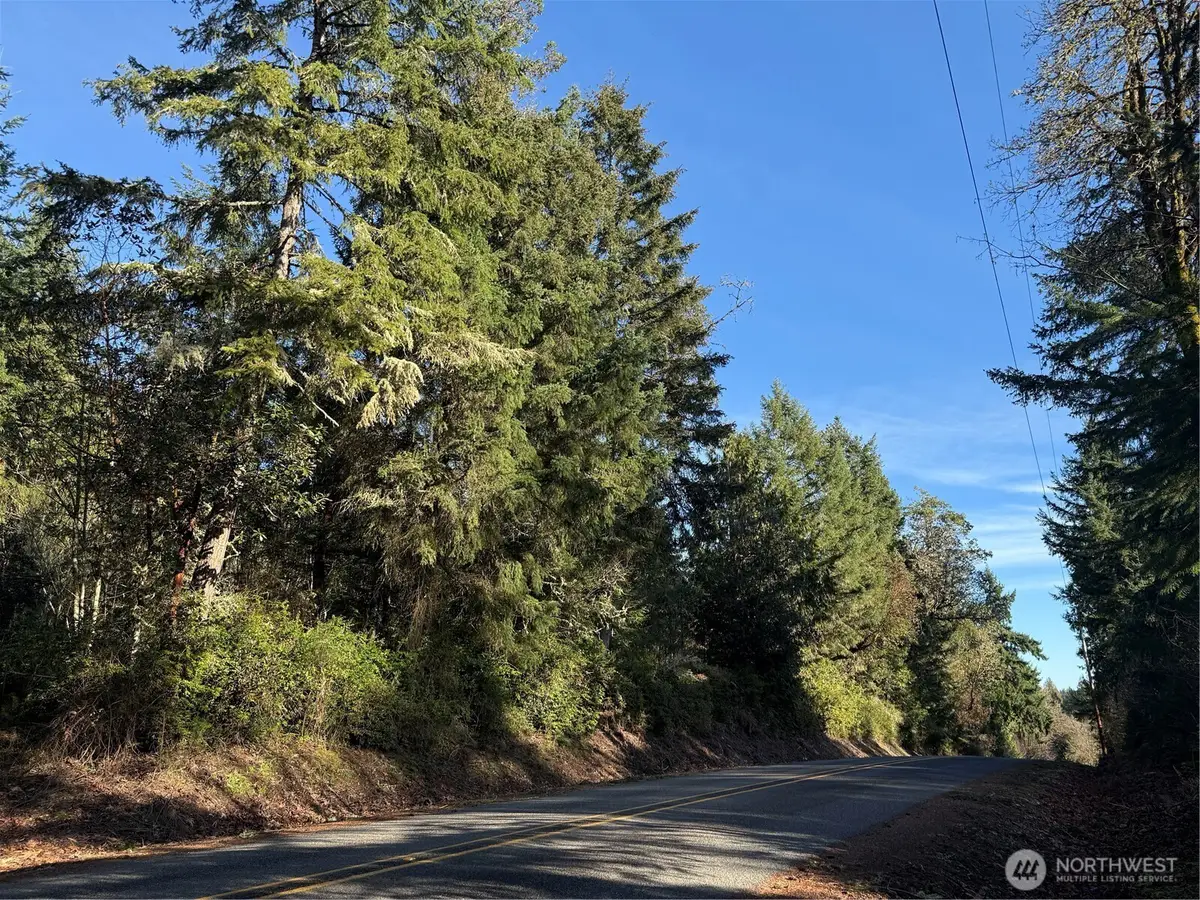 7515 Whiteman Road Sw #Lot3, Longbranch, WA 98351 - #1
