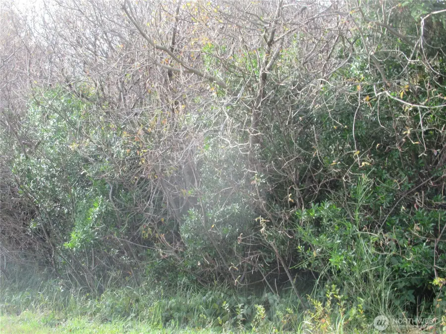 0 Driftwood Dr Drive, Ocean Shores, WA 98569 - #2