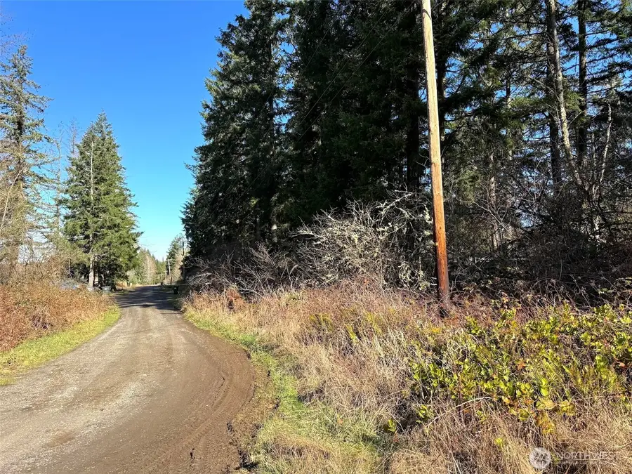 33507 84th Avenue E, Eatonville, WA 98328 - #3