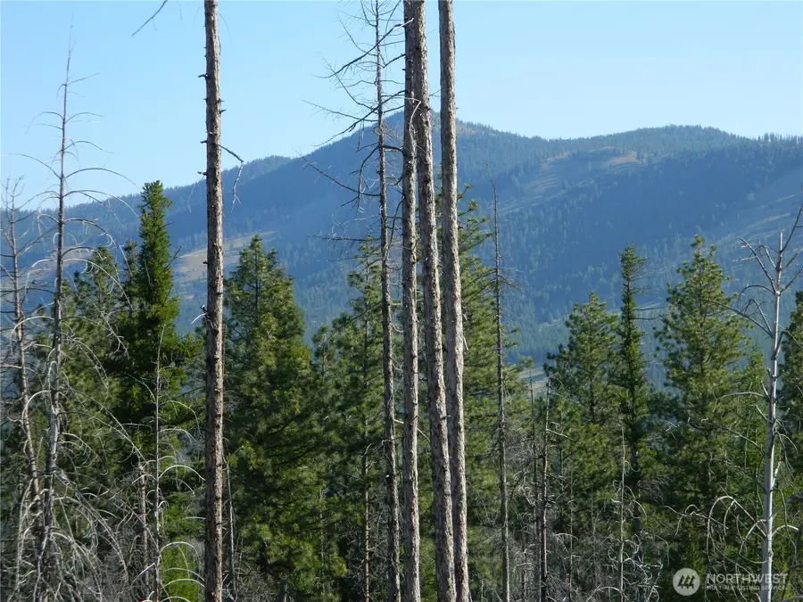 0 Tbd Stage Coach Trail #30-31, Riverside, WA 98849 - #3