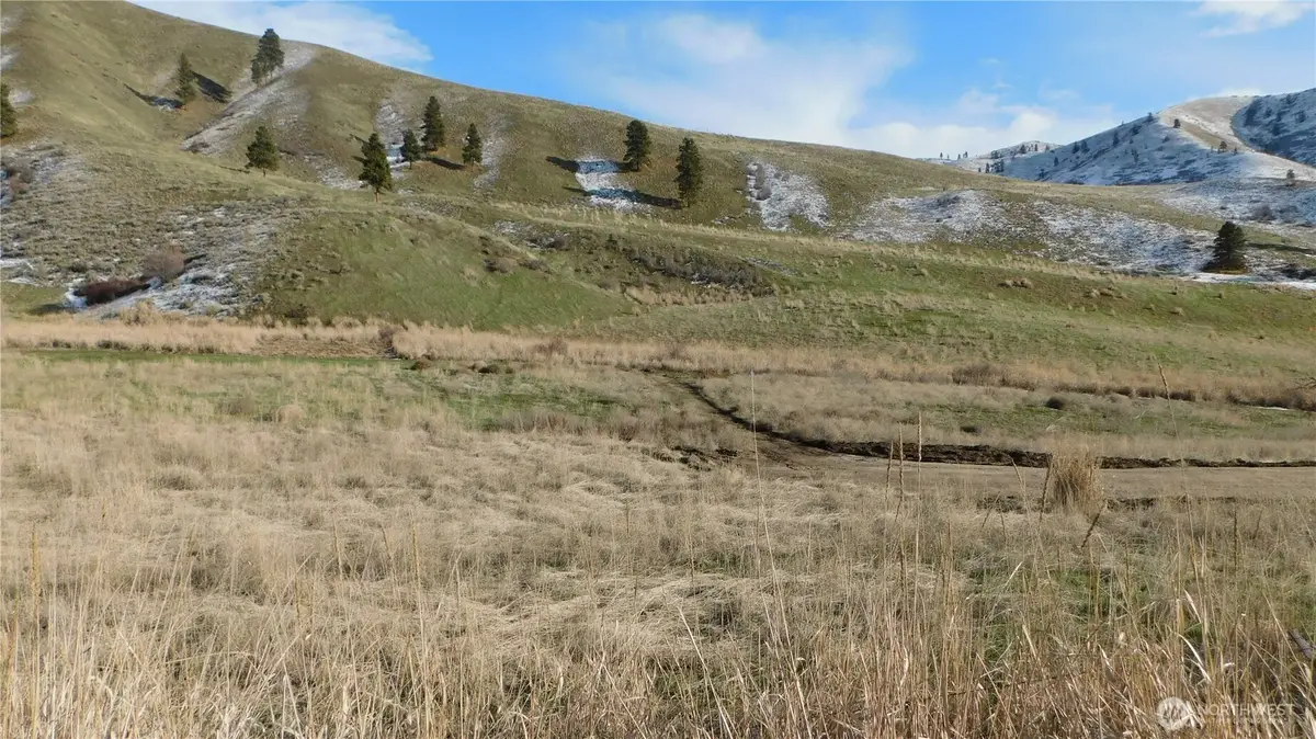 8019 Nahahum Canyon Road #11, Cashmere, WA 98815 - #1