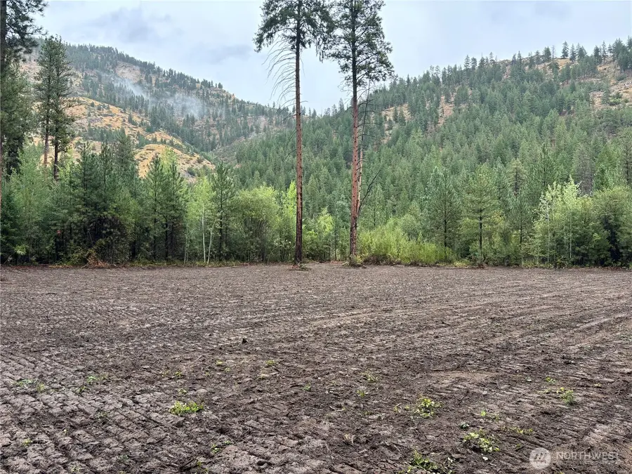 14216 Entiat River Rd, Entiat, WA 98822 - #2