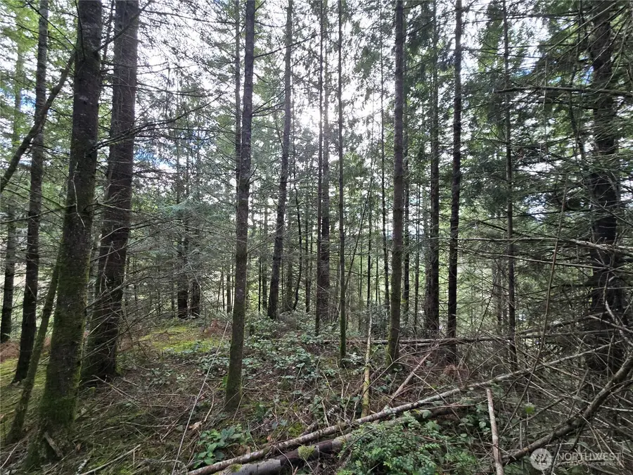 216 Bond Road Ne, Poulsbo, WA 98370 - #2