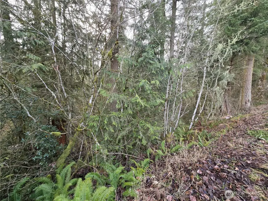 15102 Scott Turner Road E #1, Eatonville, WA 98328 - #3