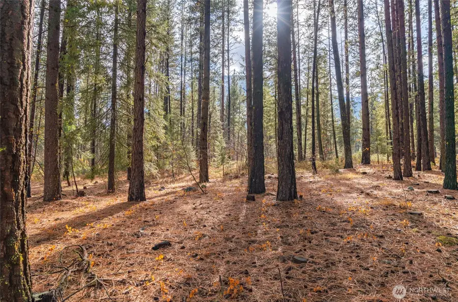 0 Skull Springs Road #78, Cle Elum, WA 98922 - #3