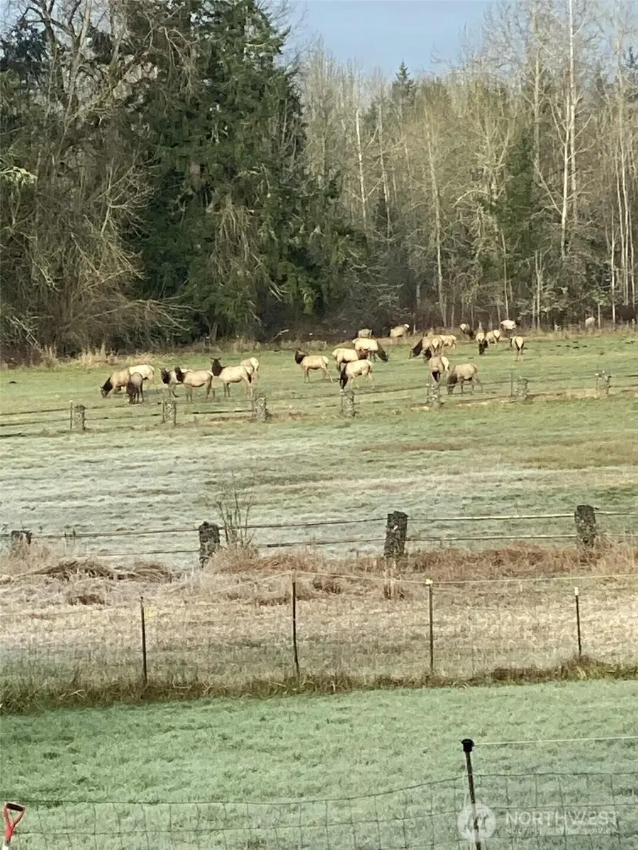 3925 Harts Lake Road S, Roy, WA 98580 - #3