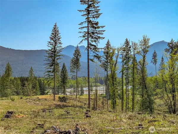 0 Craig Rd, Packwood, WA 98361