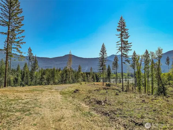 0 Craig Road, Packwood, WA 98361