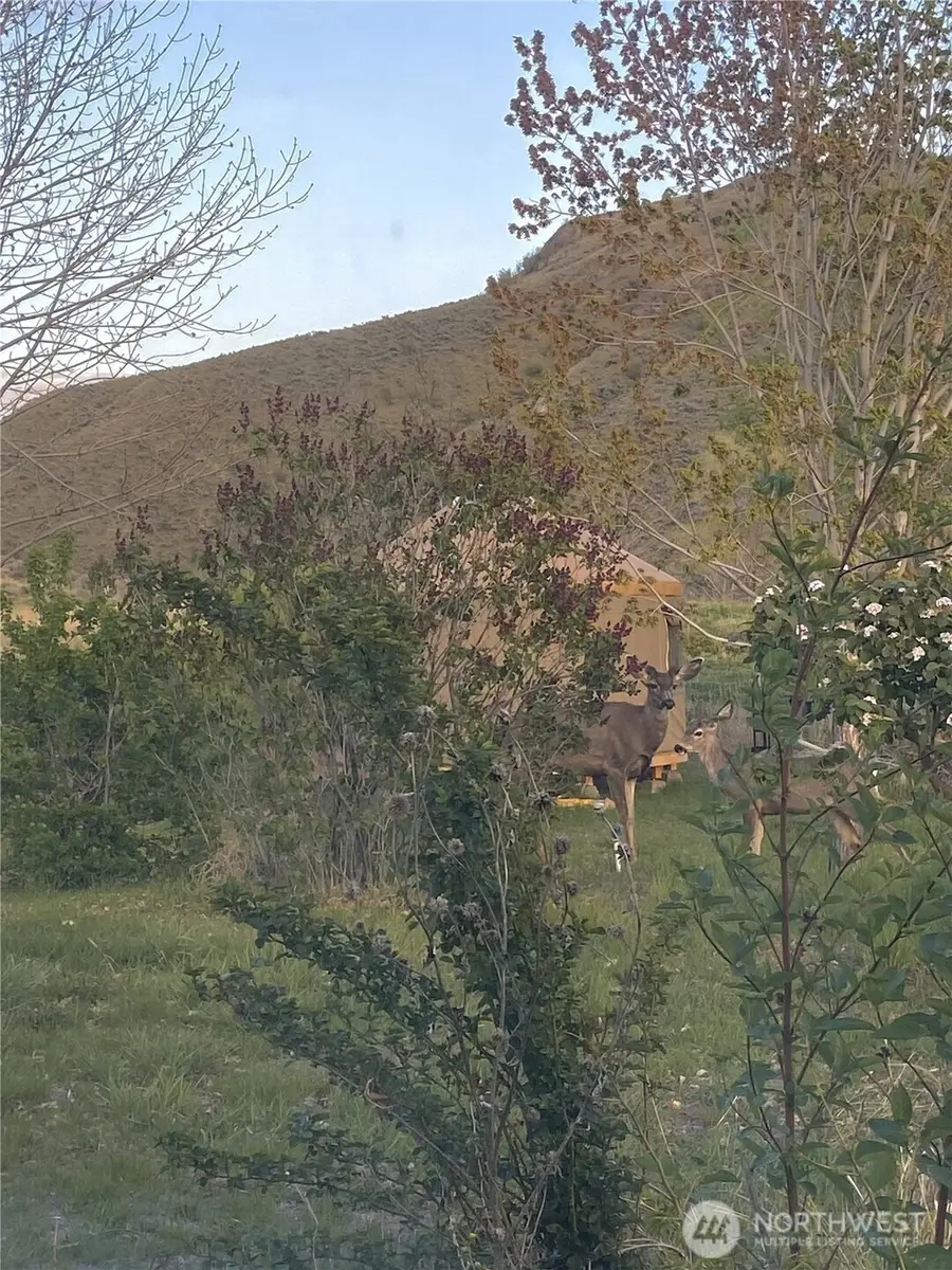 87 Applejack Road, Tonasket, WA 98855 - #2