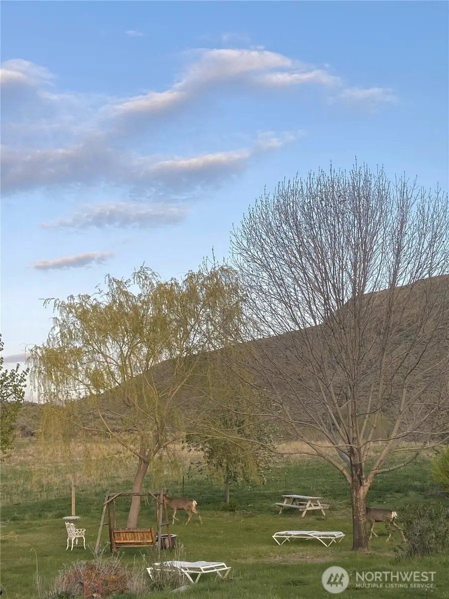 87 Applejack Road, Tonasket, WA 98855 - #3