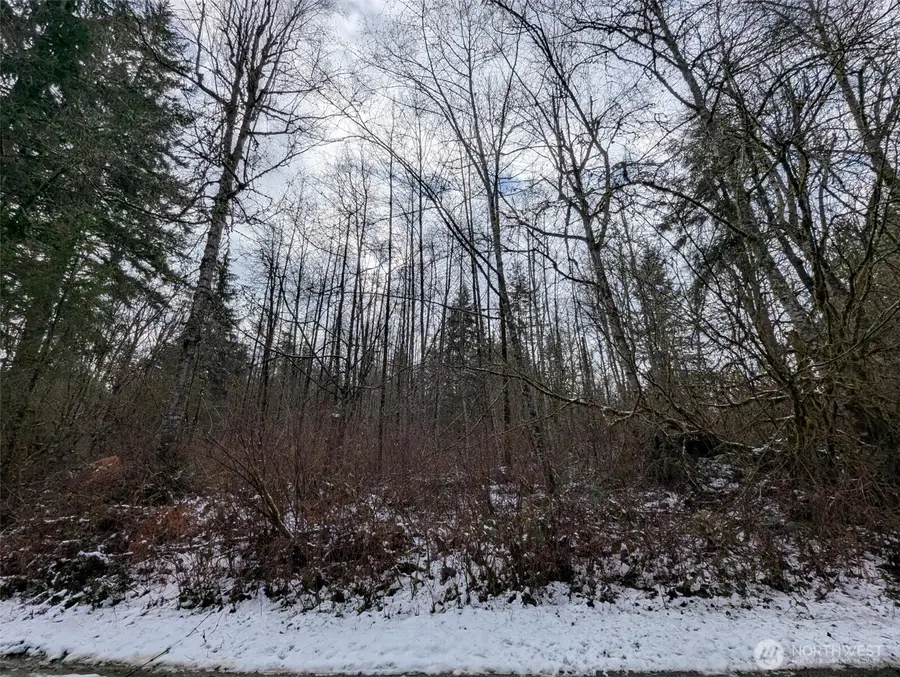 0 124th Street Ne #10, Arlington, WA 98223 - #3