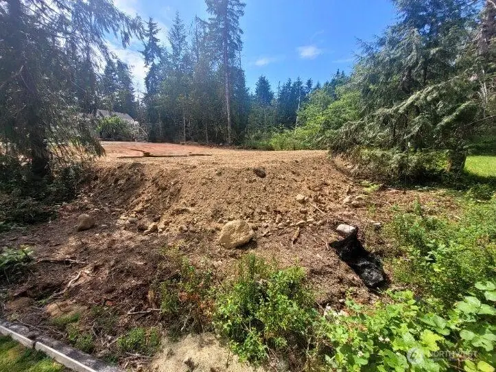 41 E Wildwood Lane #28, Brinnon, WA 98320 - #3