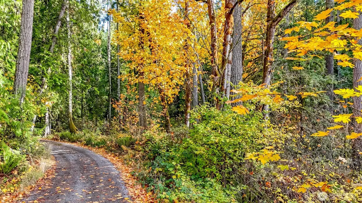 18313 Patterson Road E, Orting, WA 98360 - #1