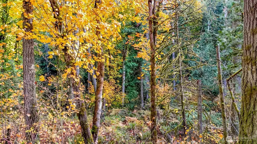 18313 Patterson Road E, Orting, WA 98360 - #3