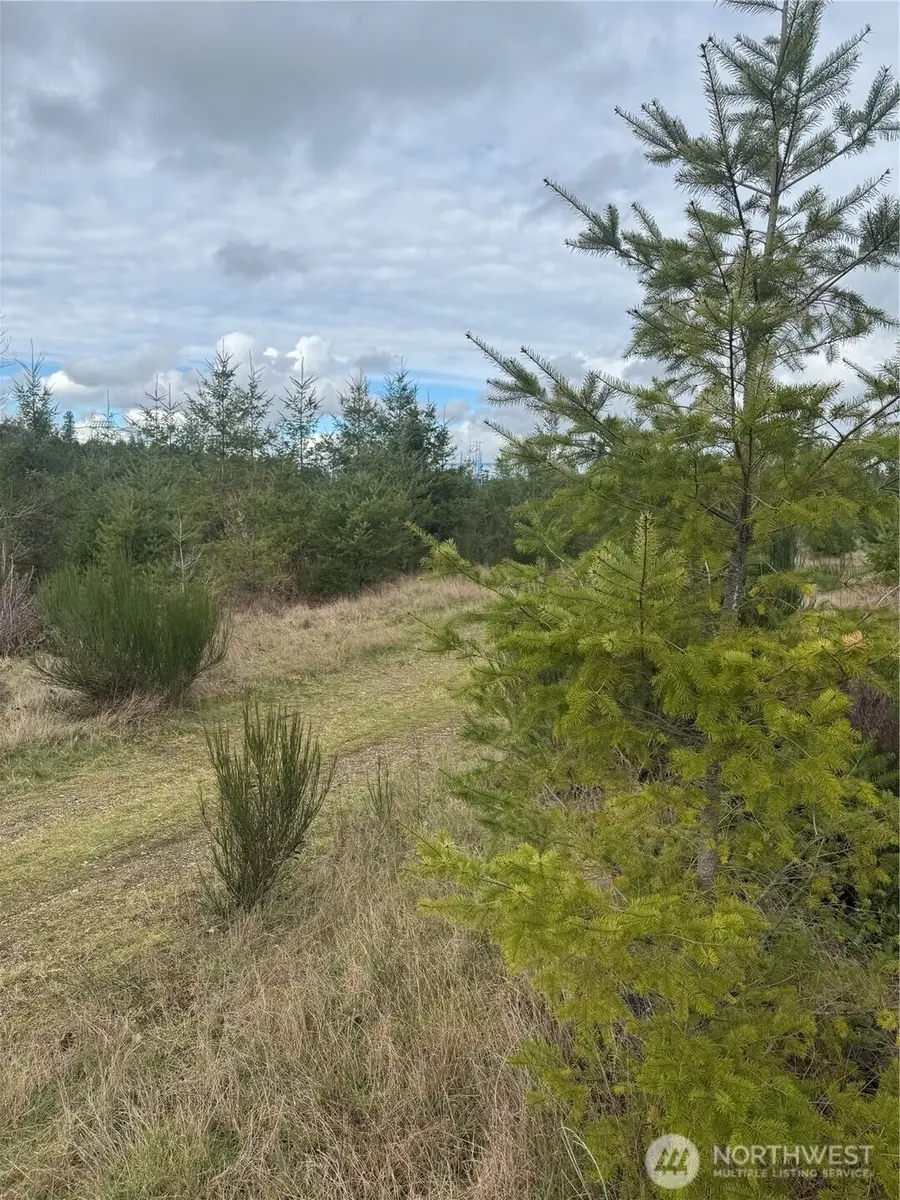 31101 SE Retreat-kanaskat Road, Ravensdale, WA 98051 - #2