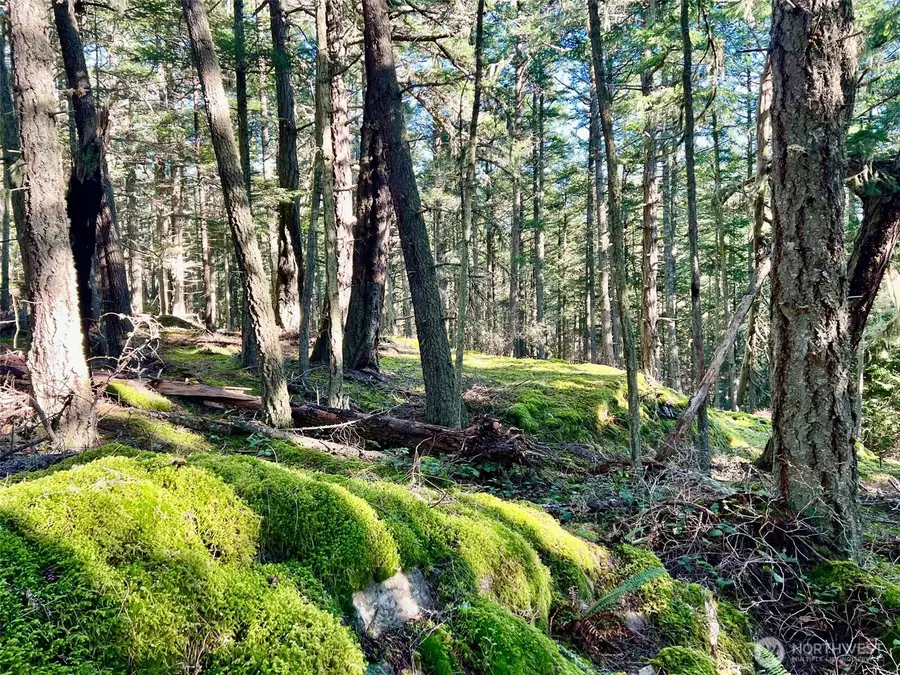0 Highland Drive #3, Lopez Island, WA 98221 - #2