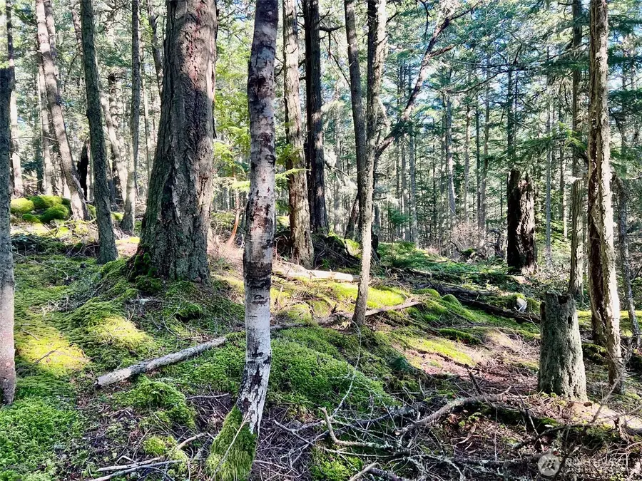 0 Highland Drive #3, Lopez Island, WA 98221 - #3