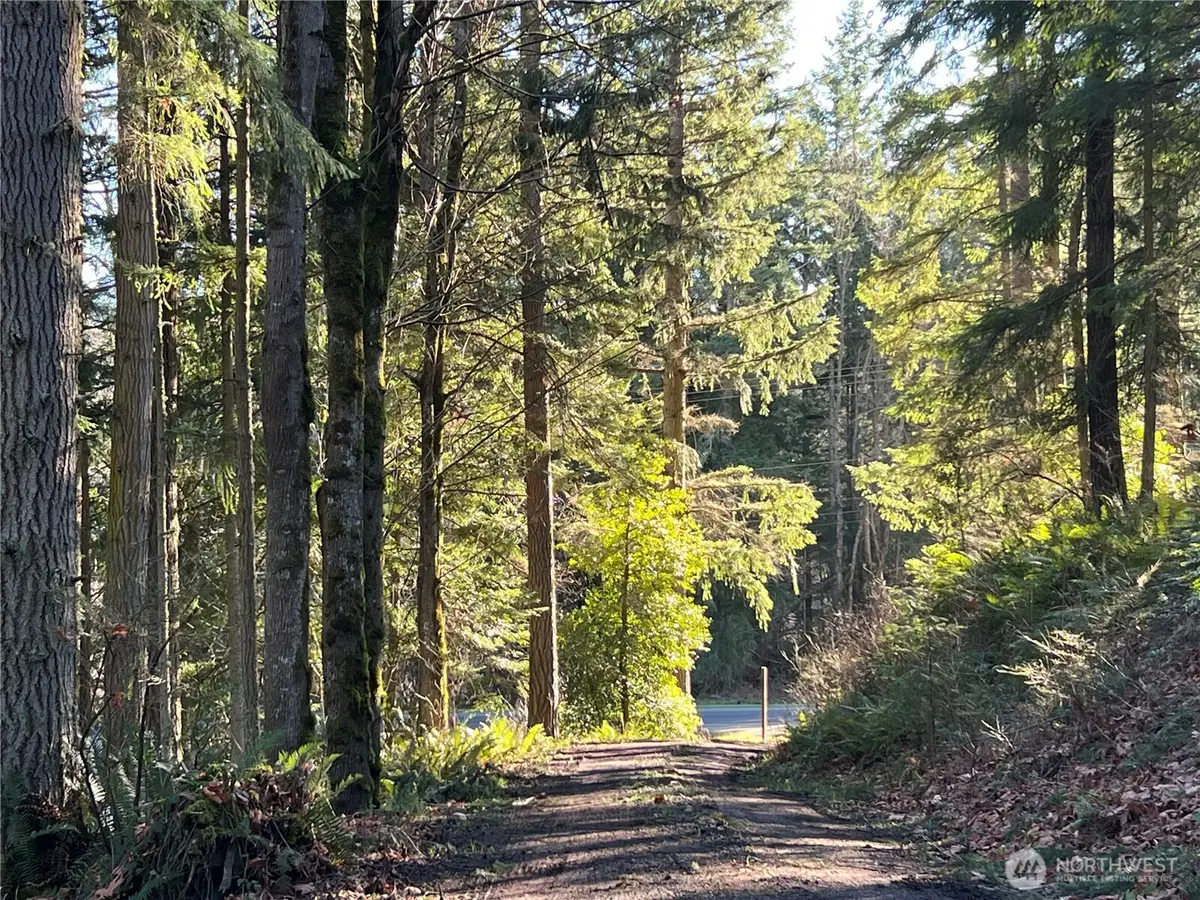 5662 Center Road, Chimacum, WA 98325 - #1