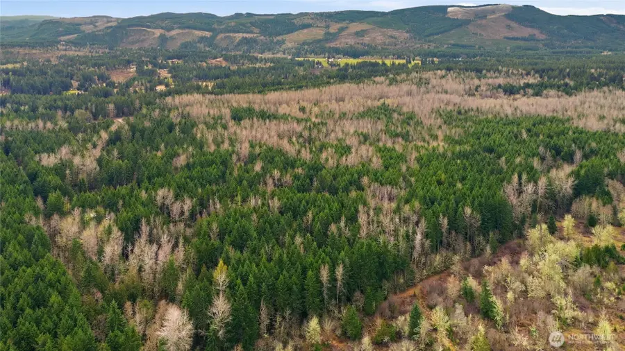 14645 164th Lane Se, Rainier, WA 98576 - #3