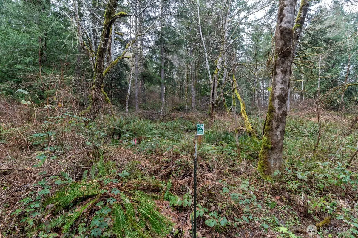 8900 Adams Lane Nw, Olympia, WA 98502 - #1