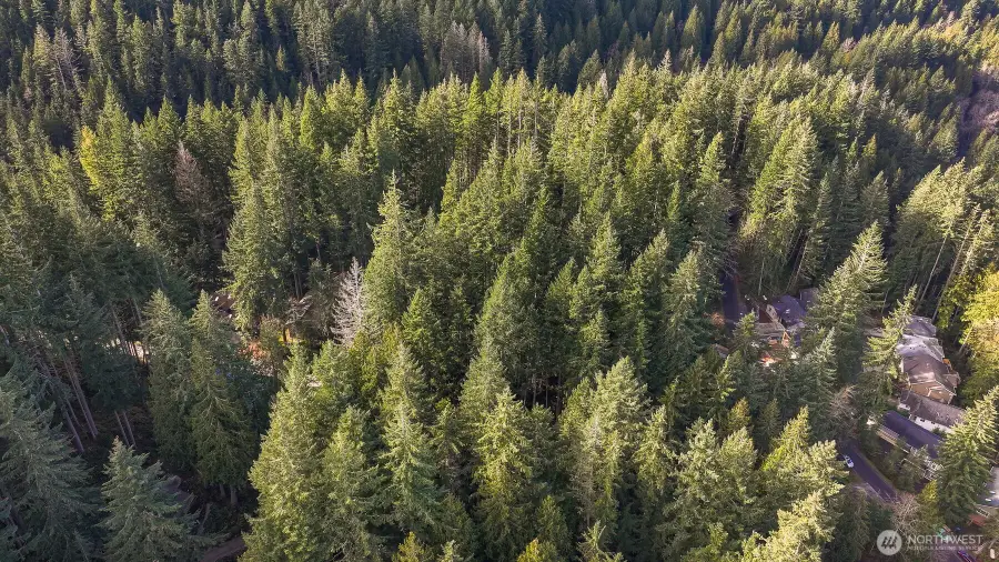 21 Bramble Way #16, Bellingham, WA 98229 - #3