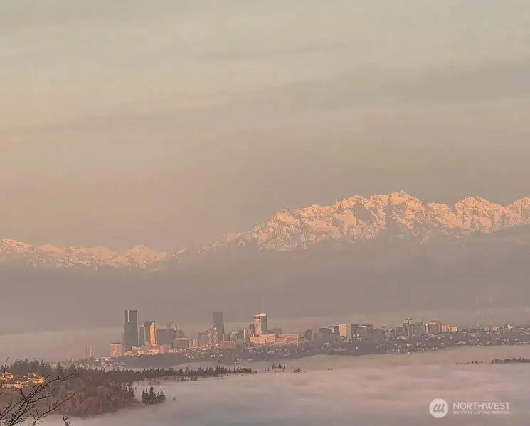 1511 25th Avenue Ne, Issaquah, WA 98029 - #3