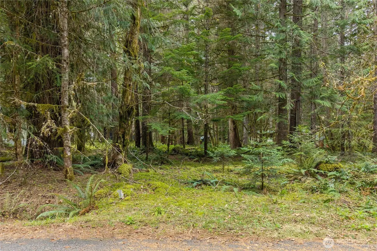 56510 383rd Avenue Ct E #7, Ashford, WA 98304 - #1