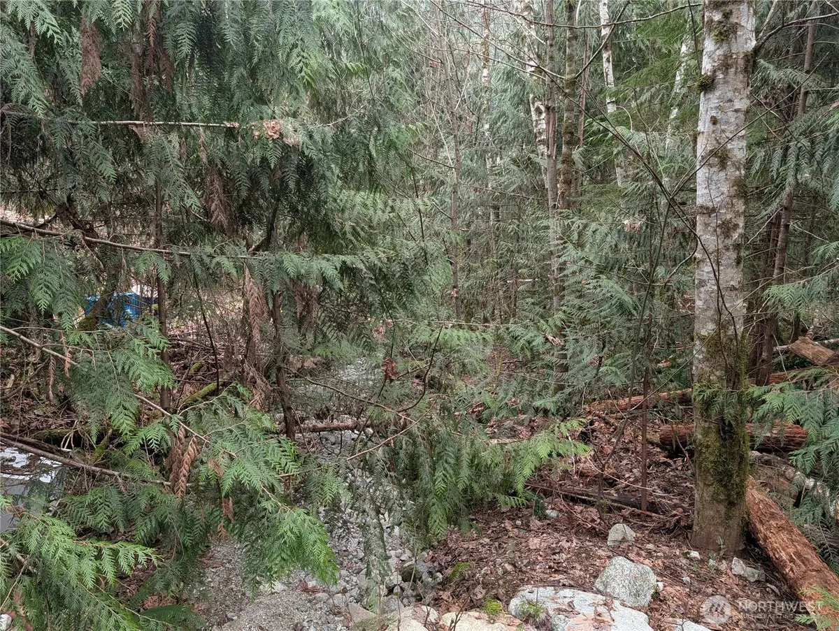 64062 Cascade River Rd, Marblemount, WA 98267 - #1