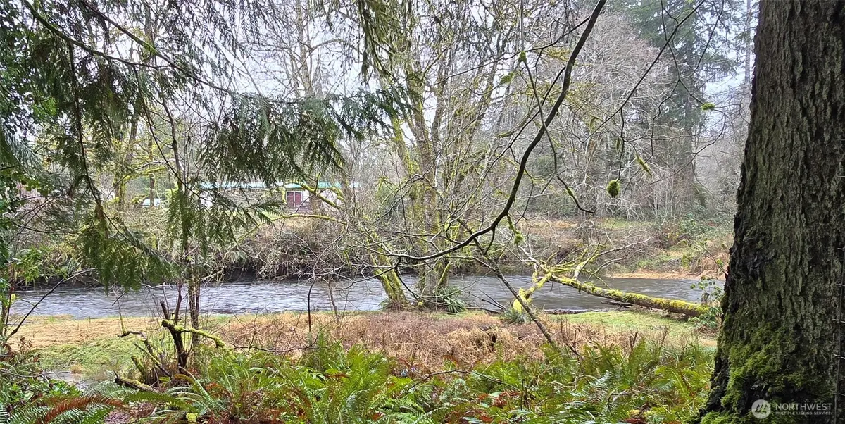 351 W Haven Drive, Elma, WA 98541 - #1